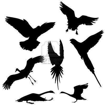 2929652-vol-des-oiseaux-colombe-oies-cigognes-perroquets-et.jpg
