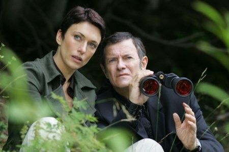TF1 TF1