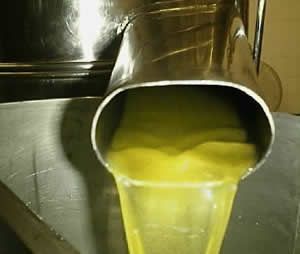 olio frantoio