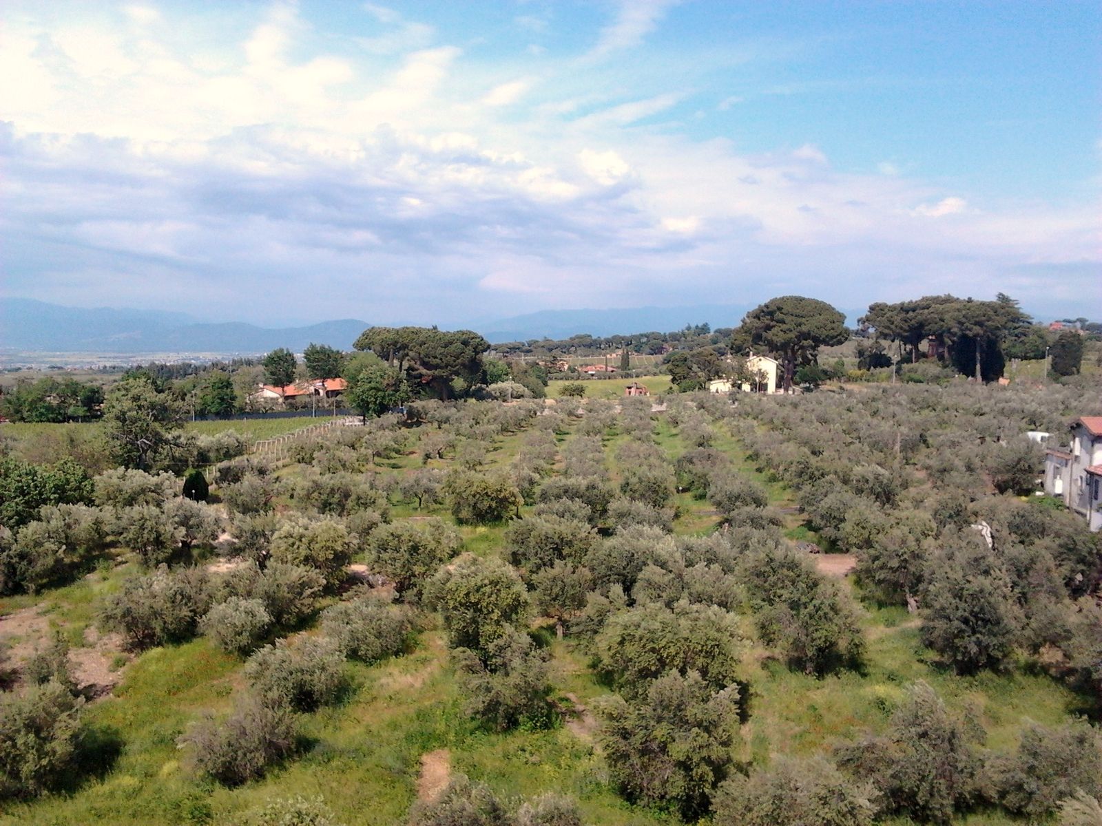 2012-05-13-16.10.47.jpg