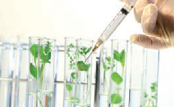 aa