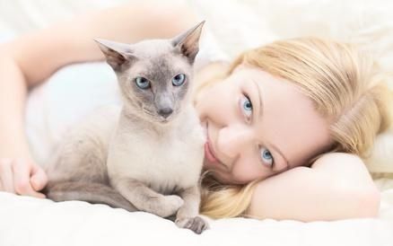 Les soirs où je rentre stressée, sans aucune envie de communiquer avec des humains, je prends mon chat sur mes genoux et je lui raconte mes soucis,