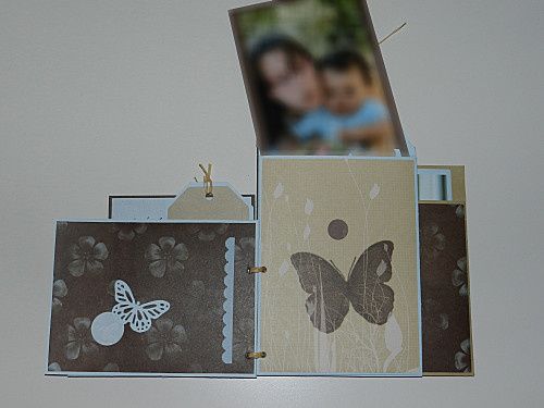 Sabscreas---Mini-Noa--8-.jpg