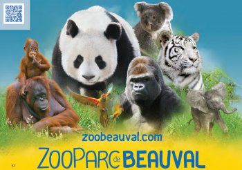 zoo-parc-de-beauval-articlephoto-3.jpg