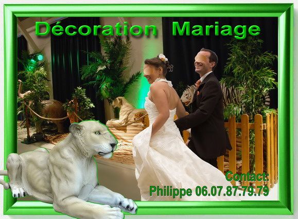 Location de décoration safari pour mariage.