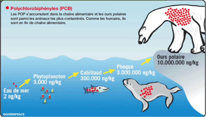 C/ Le plastique, vecteur de matières nocives - The Great Pacific Garbage  Patch