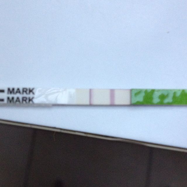 test ovulation negatif test ovulation negatif