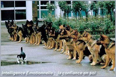 ieconfiance