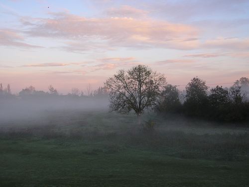 brumes matinales