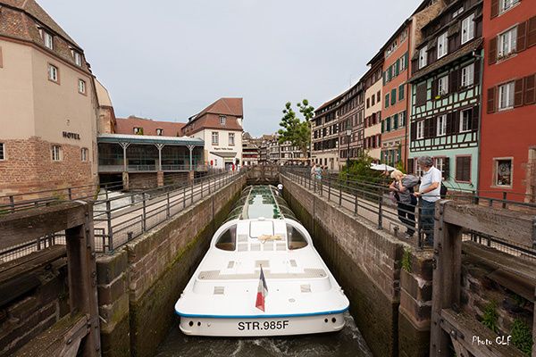 Vignette-600-px.jpg