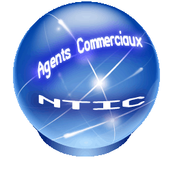 agent commercial ntic france