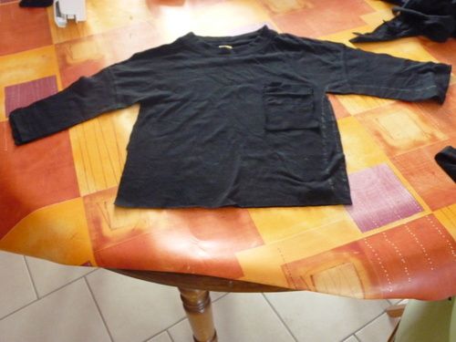 haut-chat-2.resized.resized.resized.jpg