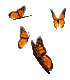 gif-papillon-16-gratuit