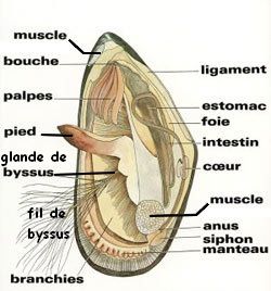 Sans titre 1