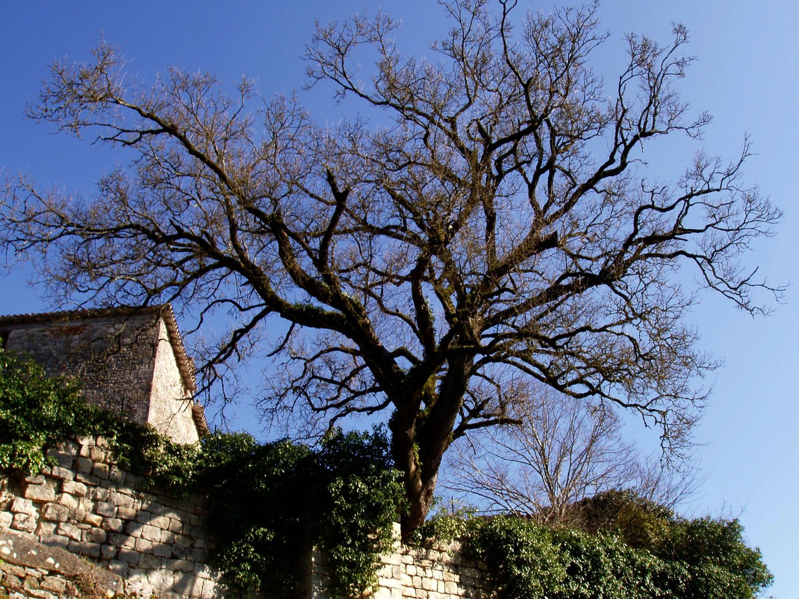 Album photo bruniquel