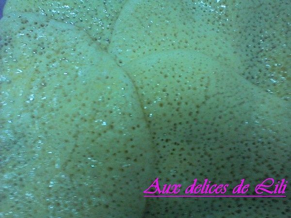 Photo-0092.jpg
