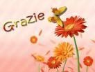 grazie 2