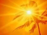 sole