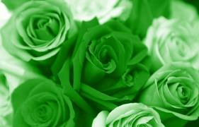 GREEN