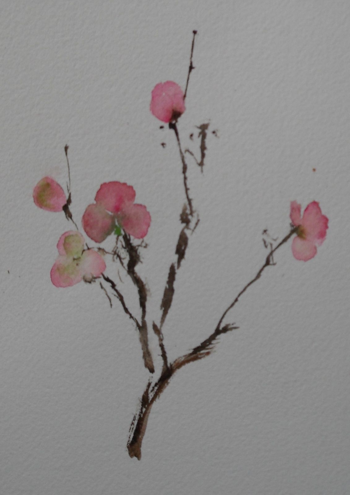 Peinture Cerisier Japonais Peinture Cerisier Japonais