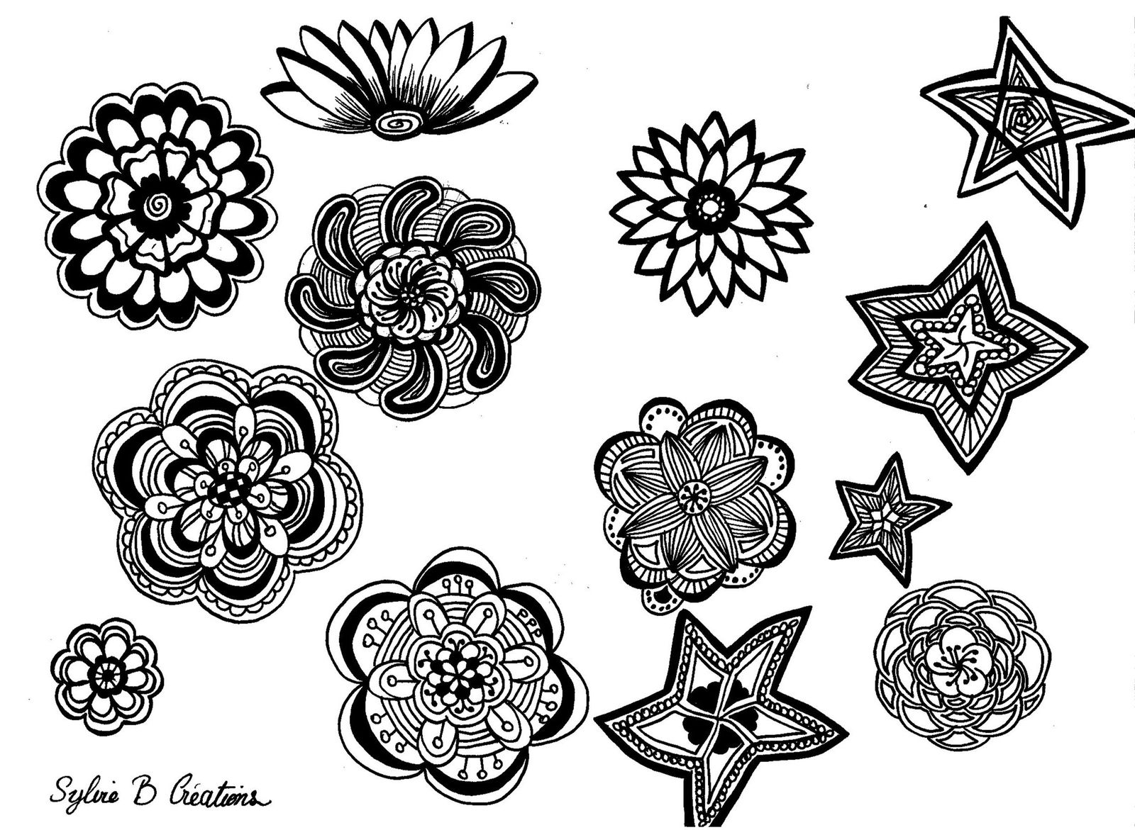 Album , dessin,fleurs