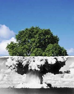 nuke-le-dernier-arbre-du-Monde--.jpg