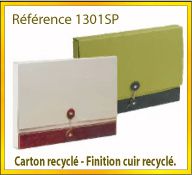Vign mallette carton recycle ref 1301SP