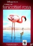Il-Mistero-Dei-Fenicotteri-Rosa-cover.jpg