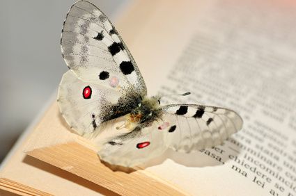 Fotolia_24008375_XS.jpg