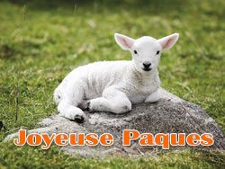 agneau-paques-image.jpg