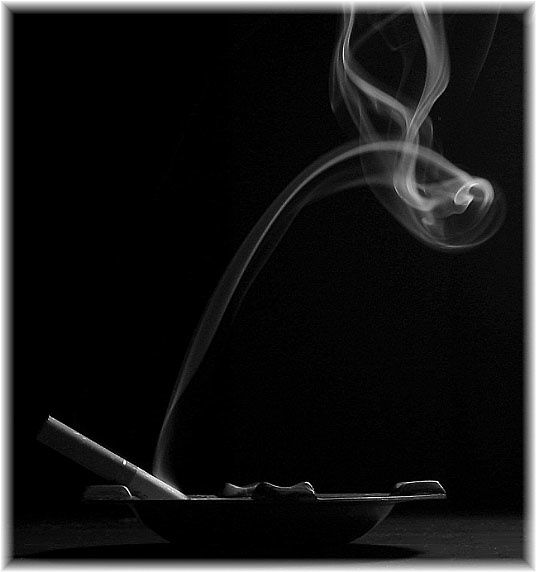 fractalbit_BW-smoke-small.jpg