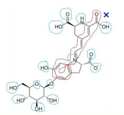 molecule.JPG