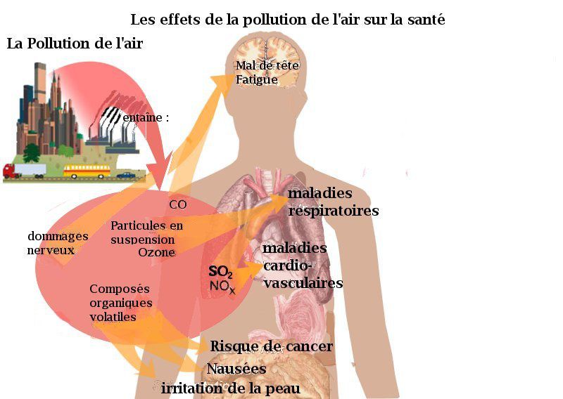 La Cause De La Pollution Les effets de la pollution de l'air sur la santé - TPE: Santé et