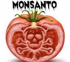 monsanto 2