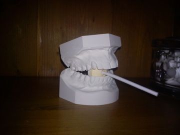 DSC00210.jpg