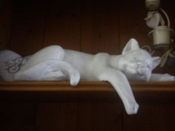 DSC00216.jpg