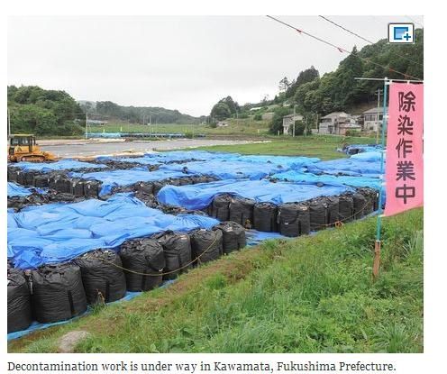 decontamination-bags.JPG