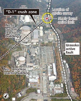 crush-zone-tsuruga.jpg