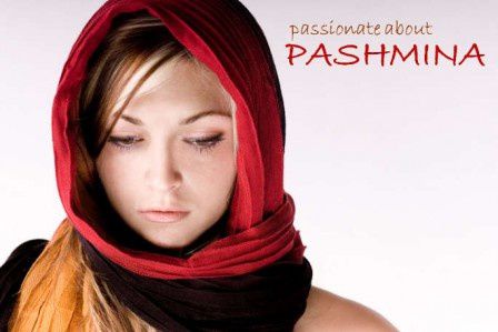 pashmina-cheveux.jpg