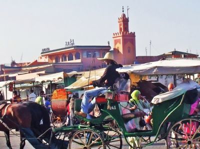26.calèches-Marrakech
