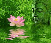 bouddha flower blog