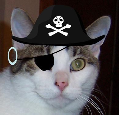 cat-pirate.jpg
