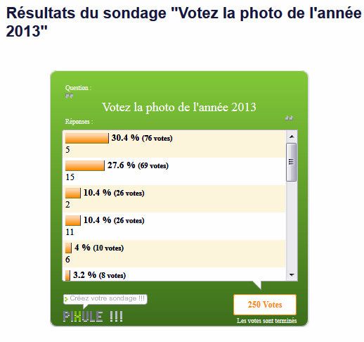 Resultats-du-sondage-Pixule---Votez-la-photo-de-l-annee-2.jpg