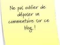 commentaire blog