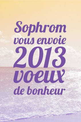 voeux2013