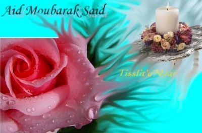normal Aid Moubarak Said
