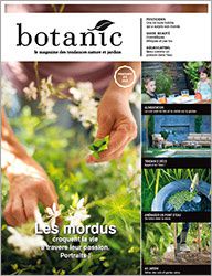 magazine-botanic-4.jpg