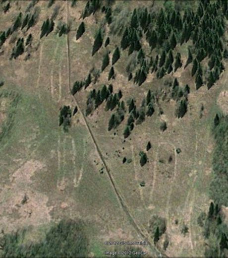 vue-d-ensemble-du-geoglyphe-en-forme-d-animal-decouvert-en-.jpg