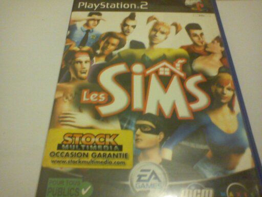 Les-Sims.jpg