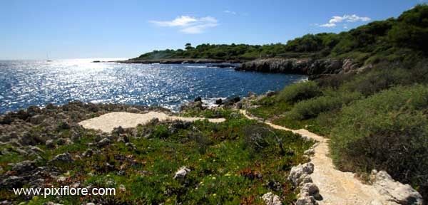 cap_d_antibes.jpg